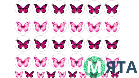 Бабочки 4