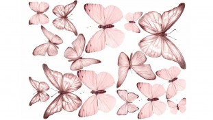 Съедобная картинка Бабочки 16