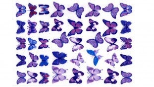 Съедобная картинка Бабочки 18